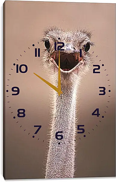 Часы картина - Ostrich - Страус Часы картина - Ostrich - Страус