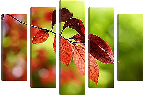 Модульная картина - Желтое, зеленое, красное...
Модульная картина - Желтое, зеленое, красное...