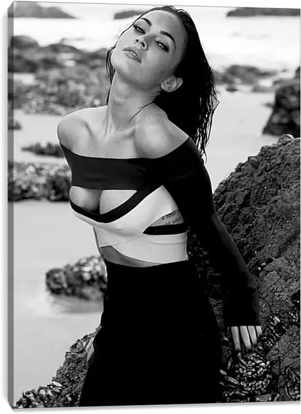 Постер на подрамнике - Меган Фокс (Megan Fox) Постер на подрамнике - Меган Фокс (Megan Fox)