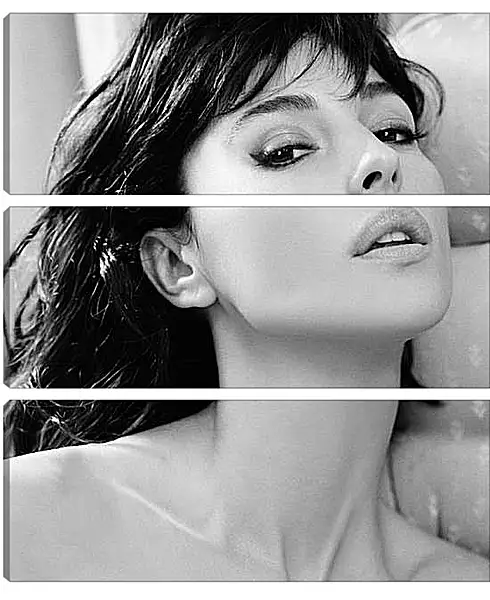 Модульная картина - Моника Беллуччи (Monica Bellucci) Модульная картина - Моника Беллуччи (Monica Bellucci)