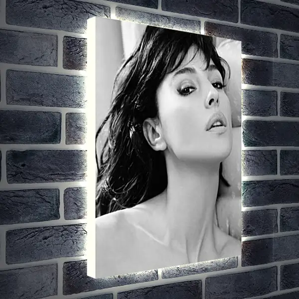 Лайтбокс световая панель - Моника Беллуччи (Monica Bellucci) Лайтбокс световая панель - Моника Беллуччи (Monica Bellucci)
