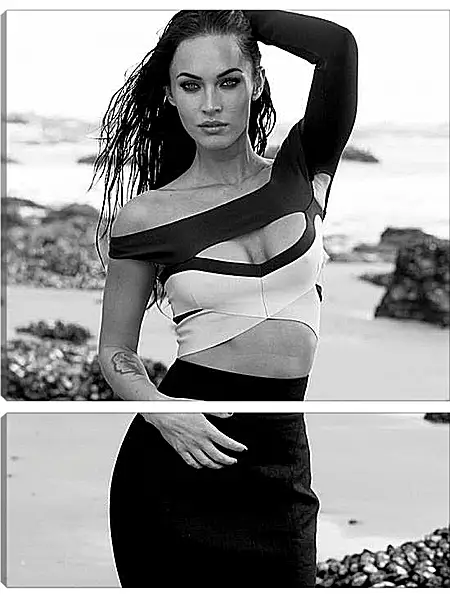 Модульная картина - Меган Фокс (Megan Fox) Модульная картина - Меган Фокс (Megan Fox)