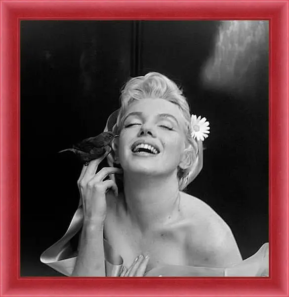 Картина в раме - Marilyn Monroe - Мерилин Монро
Картина в раме - Marilyn Monroe - Мерилин Монро