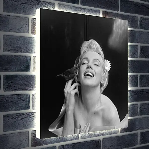 Лайтбокс световая панель - Marilyn Monroe - Мерилин Монро
Лайтбокс световая панель - Marilyn Monroe - Мерилин Монро