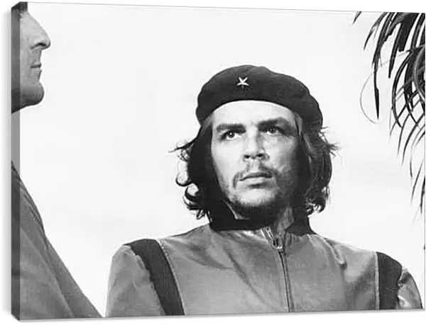 Постер на подрамнике - Che Guevara - Че Гевара
Постер на подрамнике - Che Guevara - Че Гевара
