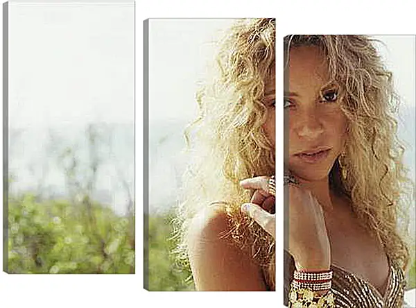 Модульная картина - Shakira - Шакира
Модульная картина - Shakira - Шакира