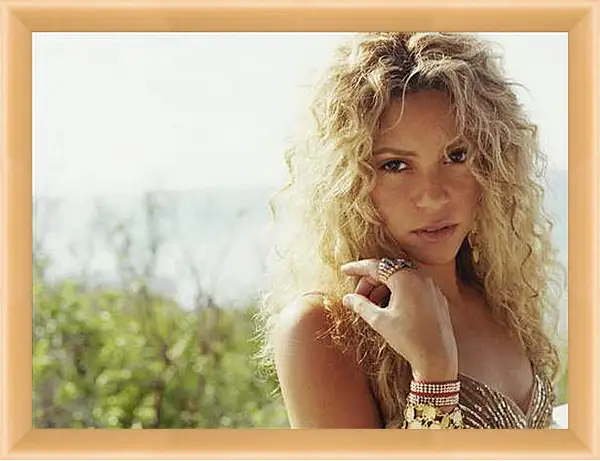 Картина в раме - Shakira - Шакира
Картина в раме - Shakira - Шакира