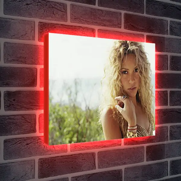 Лайтбокс световая панель - Shakira - Шакира
Лайтбокс световая панель - Shakira - Шакира