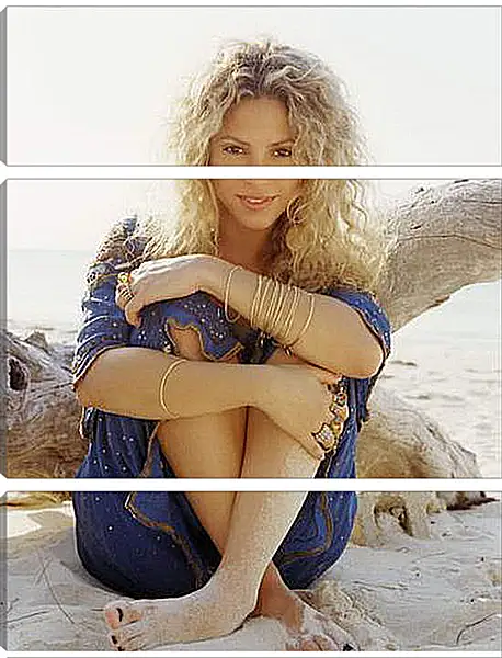 Модульная картина - Shakira - Шакира
Модульная картина - Shakira - Шакира