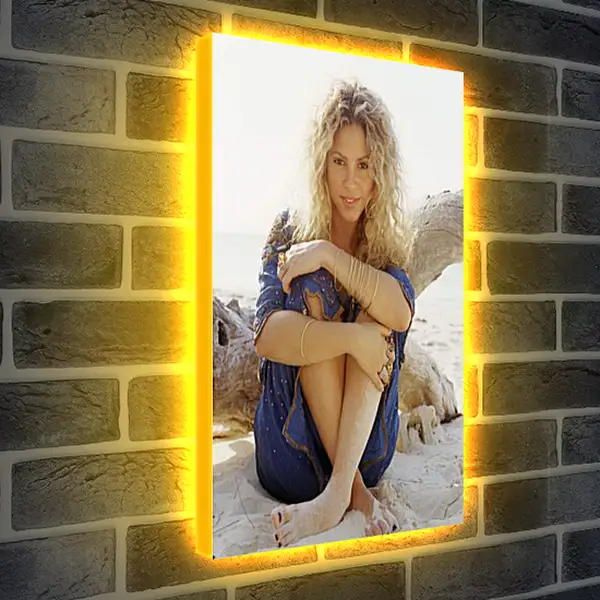 Лайтбокс световая панель - Shakira - Шакира
Лайтбокс световая панель - Shakira - Шакира