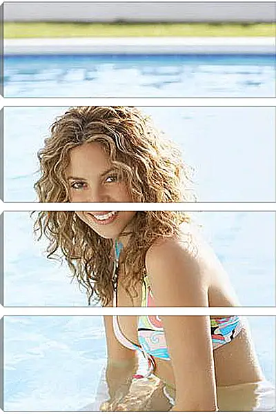 Модульная картина - Shakira - Шакира
Модульная картина - Shakira - Шакира