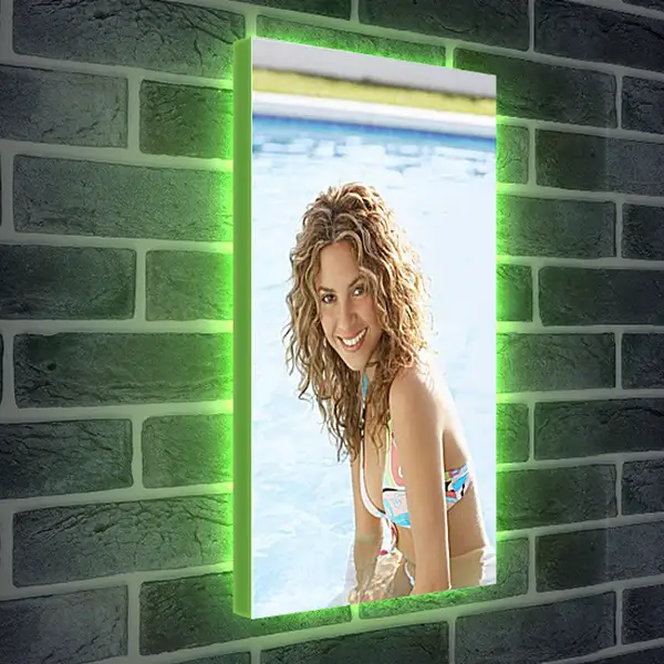 Лайтбокс световая панель - Shakira - Шакира
Лайтбокс световая панель - Shakira - Шакира