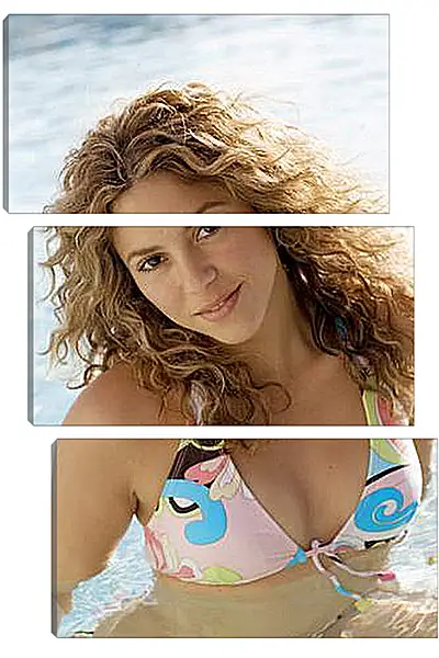 Модульная картина - Shakira - Шакира
Модульная картина - Shakira - Шакира
