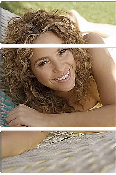Модульная картина - Shakira - Шакира
Модульная картина - Shakira - Шакира