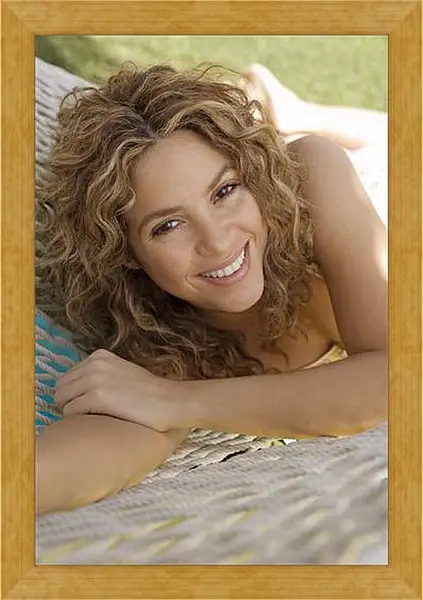 Картина в раме - Shakira - Шакира
Картина в раме - Shakira - Шакира