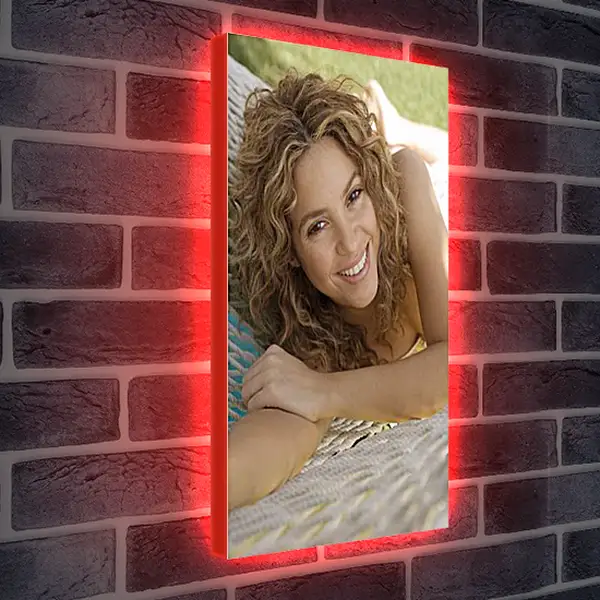 Лайтбокс световая панель - Shakira - Шакира
Лайтбокс световая панель - Shakira - Шакира