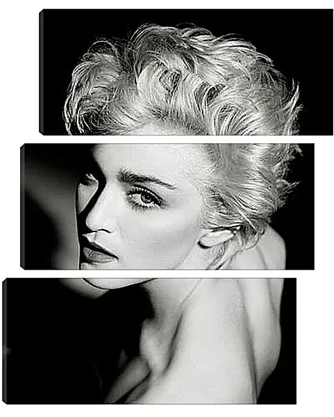 Модульная картина - Madonna - Мадонна
Модульная картина - Madonna - Мадонна