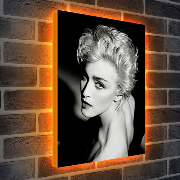 Лайтбокс световая панель - Madonna - Мадонна
Лайтбокс световая панель - Madonna - Мадонна