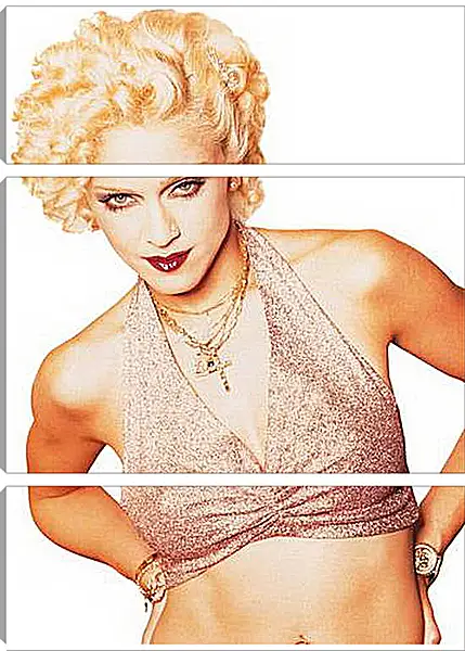 Модульная картина - Madonna - Мадонна
Модульная картина - Madonna - Мадонна