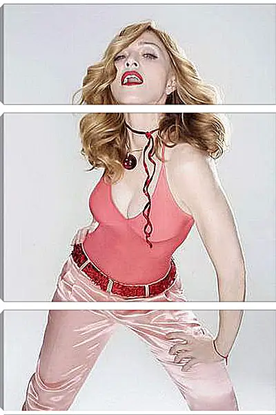 Модульная картина - Madonna - Мадонна
Модульная картина - Madonna - Мадонна