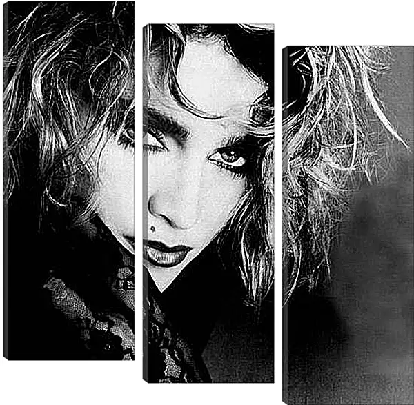 Модульная картина - Madonna - Мадонна
Модульная картина - Madonna - Мадонна