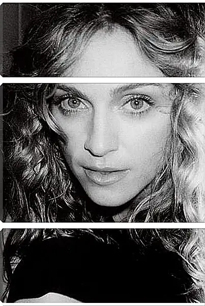 Модульная картина - Madonna - Мадонна
Модульная картина - Madonna - Мадонна