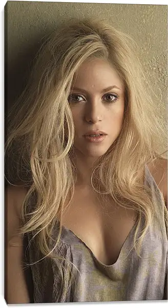Постер на подрамнике - Шакира (Shakira) Постер на подрамнике - Шакира (Shakira)