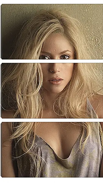 Модульная картина - Шакира (Shakira) Модульная картина - Шакира (Shakira)
