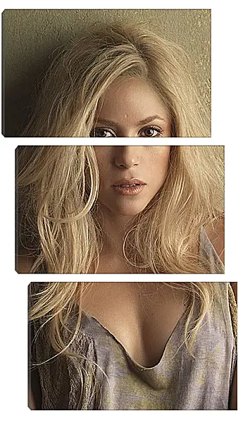 Модульная картина - Шакира (Shakira) Модульная картина - Шакира (Shakira)