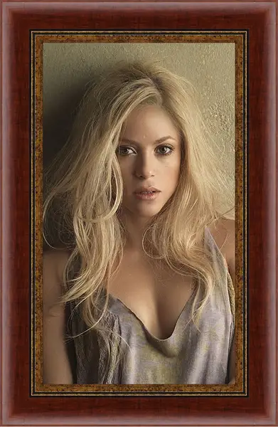 Картина в раме - Шакира (Shakira) Картина в раме - Шакира (Shakira)