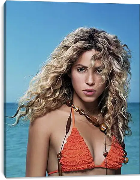 Постер на подрамнике - Shakira - Шакира
Постер на подрамнике - Shakira - Шакира