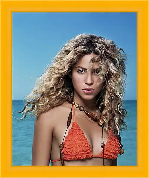 Картина в раме - Shakira - Шакира
Картина в раме - Shakira - Шакира