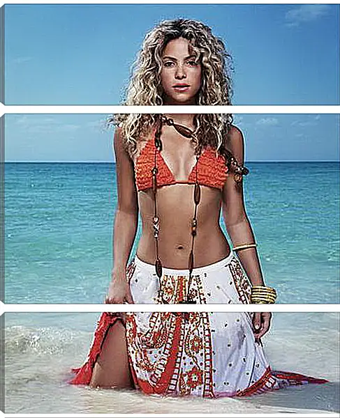 Модульная картина - Shakira - Шакира
Модульная картина - Shakira - Шакира