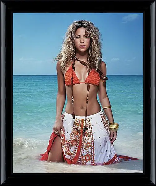 Картина в раме - Shakira - Шакира
Картина в раме - Shakira - Шакира