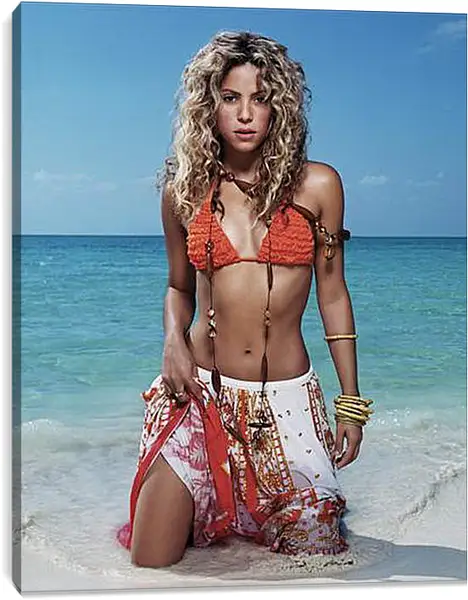 Постер на подрамнике - Shakira - Шакира
Постер на подрамнике - Shakira - Шакира