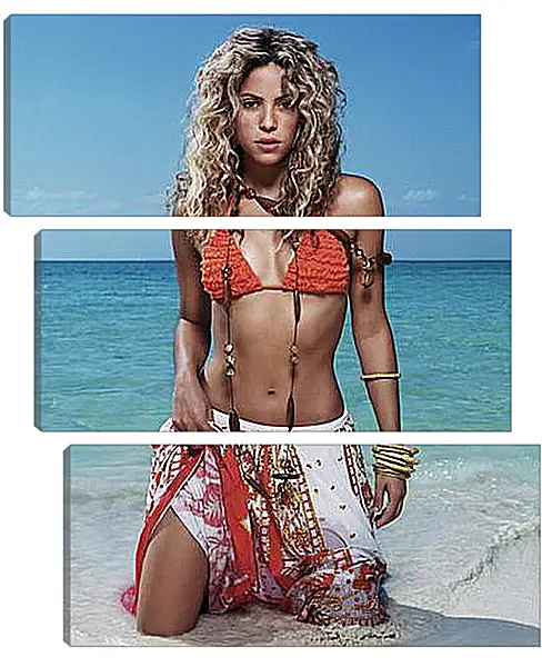 Модульная картина - Shakira - Шакира
Модульная картина - Shakira - Шакира