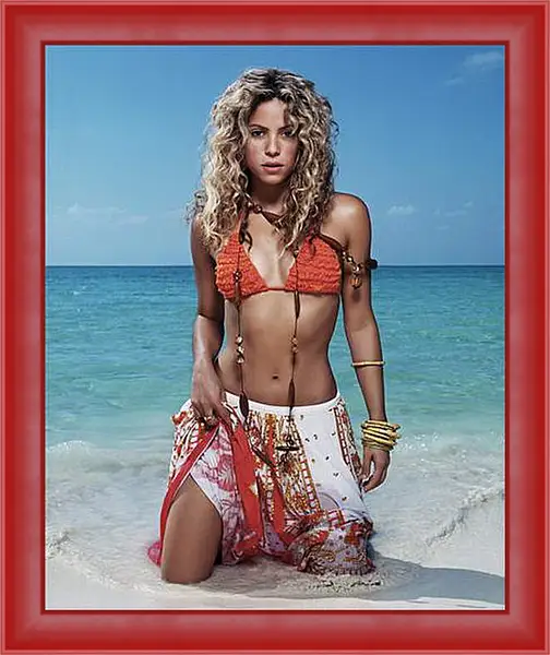 Картина в раме - Shakira - Шакира
Картина в раме - Shakira - Шакира