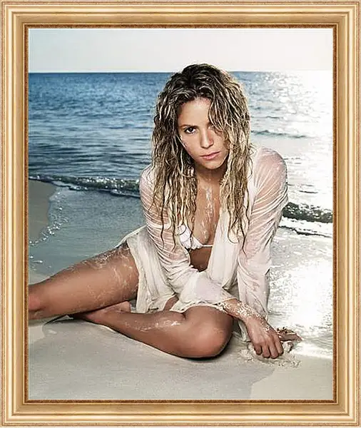 Картина в раме - Shakira - Шакира
Картина в раме - Shakira - Шакира
