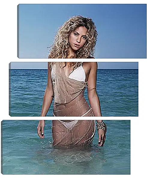 Модульная картина - Shakira - Шакира
Модульная картина - Shakira - Шакира