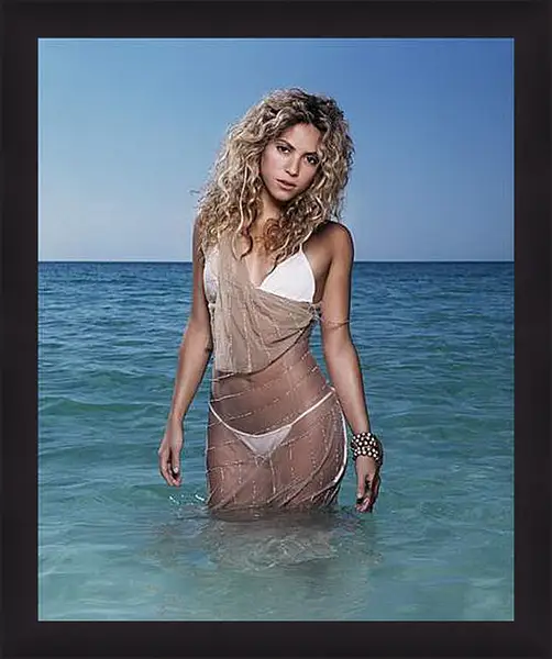 Картина в раме - Shakira - Шакира
Картина в раме - Shakira - Шакира