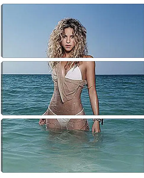 Модульная картина - Shakira - Шакира
Модульная картина - Shakira - Шакира