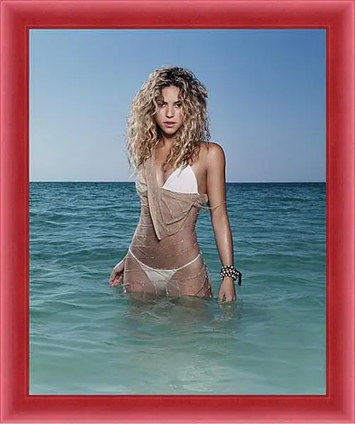 Картина в раме - Shakira - Шакира
Картина в раме - Shakira - Шакира