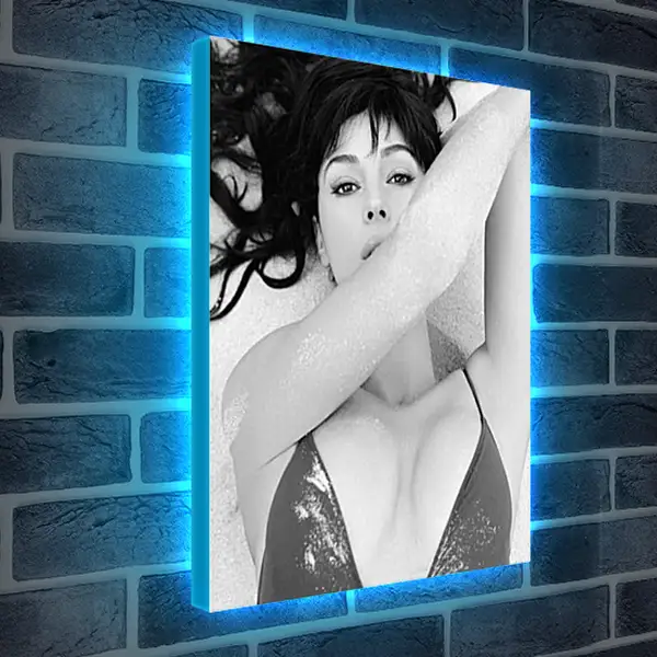 Лайтбокс световая панель - Monica Bellucci - Моника Белуччи
Лайтбокс световая панель - Monica Bellucci - Моника Белуччи