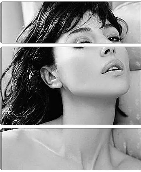 Модульная картина - Monica Bellucci - Моника Белуччи
Модульная картина - Monica Bellucci - Моника Белуччи
