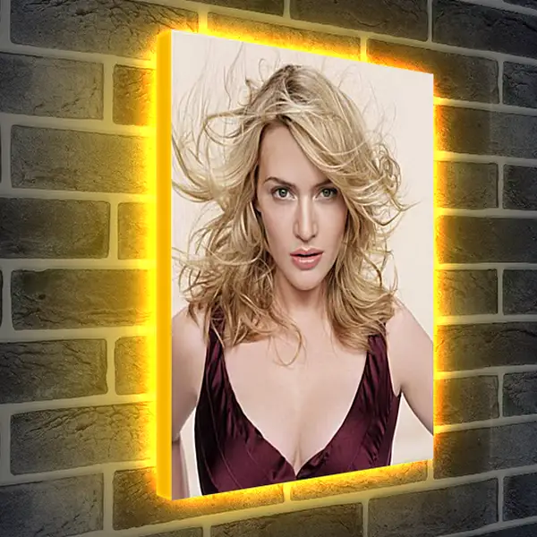 Лайтбокс световая панель - Kate Winslet - Кейт Уинслет
Лайтбокс световая панель - Kate Winslet - Кейт Уинслет