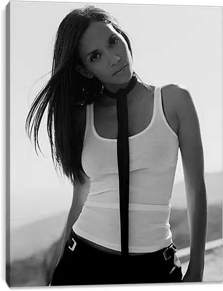 Постер на подрамнике - Halle Berry - Холли Берри
Постер на подрамнике - Halle Berry - Холли Берри
