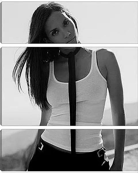 Модульная картина - Halle Berry - Холли Берри
Модульная картина - Halle Berry - Холли Берри