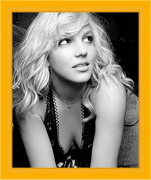 Картина в раме - Britney Spears - Бритни Спирс
Картина в раме - Britney Spears - Бритни Спирс