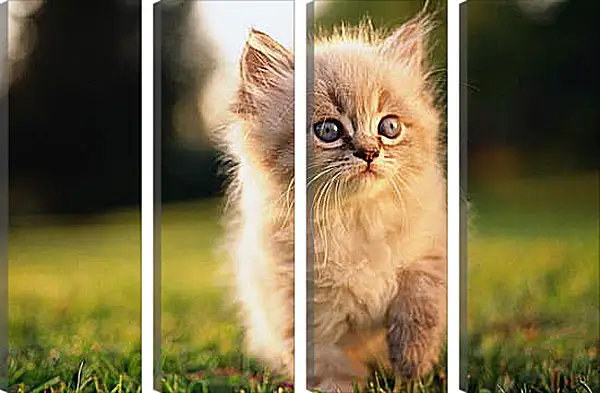 Модульная картина - Котенок Модульная картина - Котенок