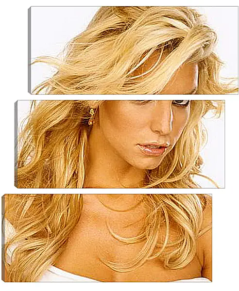 Модульная картина - Jessica Simpson - Джессика Симпсон
Модульная картина - Jessica Simpson - Джессика Симпсон